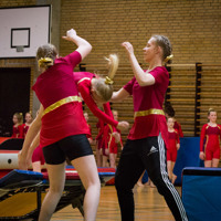 Fjordager Opvisning 3474